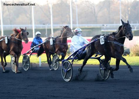 Francechevalturf: Expert en Pronostics et Résultats De Courses.